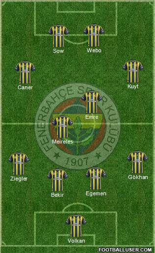 Fenerbahçe SK Formation 2013