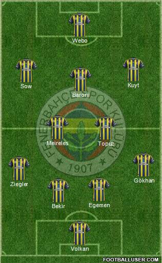 Fenerbahçe SK Formation 2013