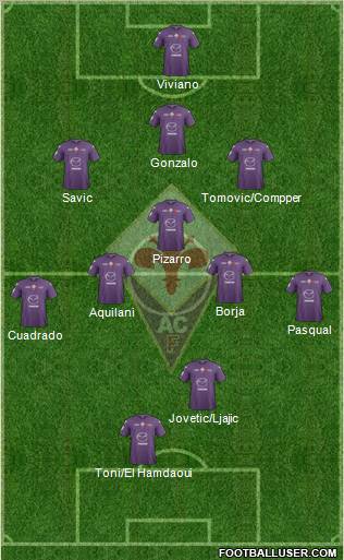 Fiorentina Formation 2013
