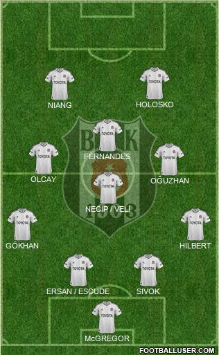 Besiktas JK Formation 2013