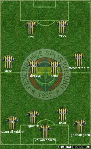 Fenerbahçe SK Formation 2013