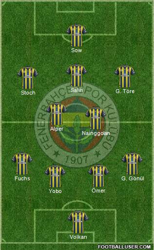 Fenerbahçe SK Formation 2013