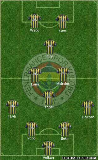 Fenerbahçe SK Formation 2013