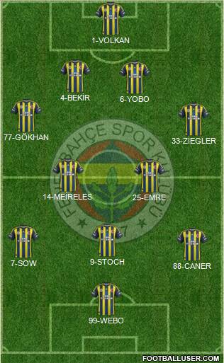 Fenerbahçe SK Formation 2013