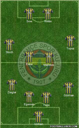 Fenerbahçe SK Formation 2013