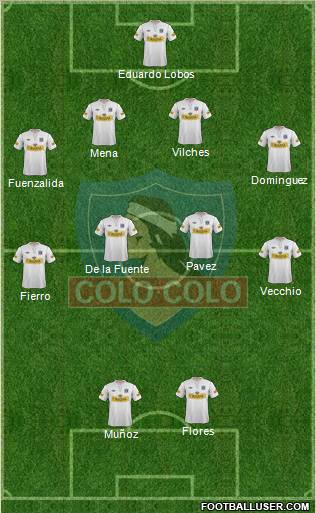 CSD Colo Colo Formation 2013