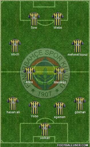 Fenerbahçe SK Formation 2013