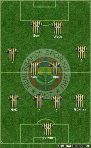 Fenerbahçe SK Formation 2013