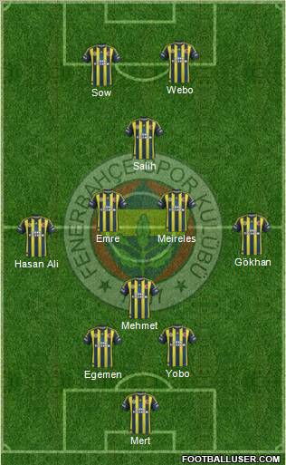 Fenerbahçe SK Formation 2013