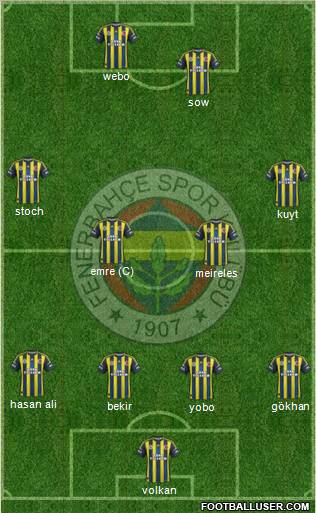 Fenerbahçe SK Formation 2013