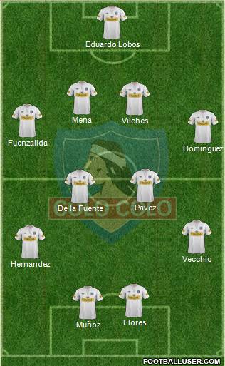 CSD Colo Colo Formation 2013