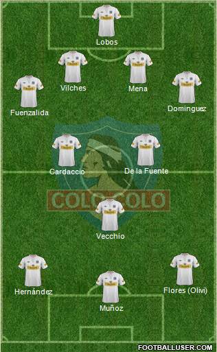 CSD Colo Colo Formation 2013