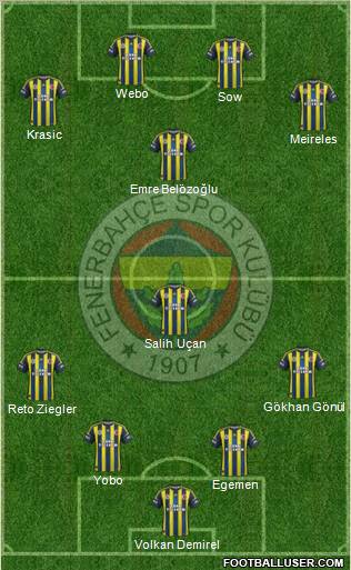 Fenerbahçe SK Formation 2013