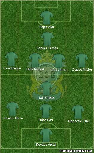 Balassagyarmati SE Formation 2013