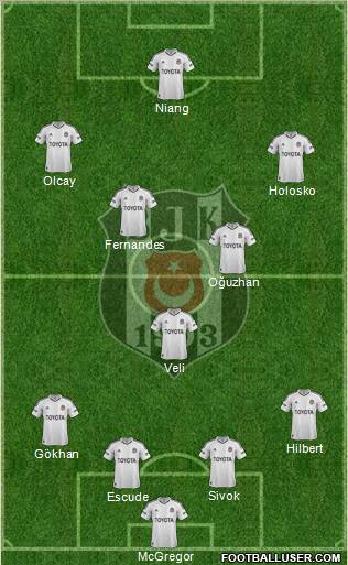 Besiktas JK Formation 2013