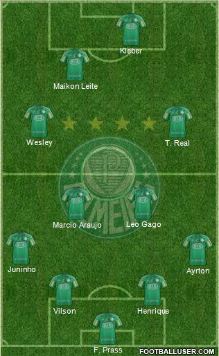 SE Palmeiras Formation 2013
