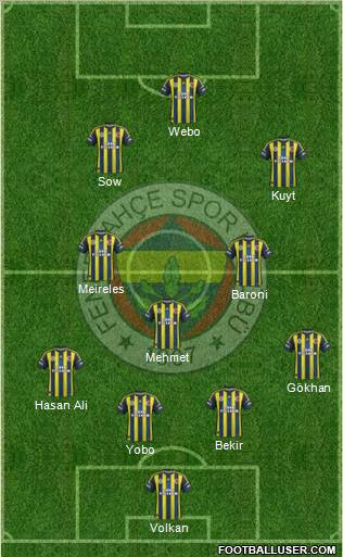 Fenerbahçe SK Formation 2013