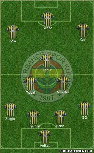 Fenerbahçe SK Formation 2013