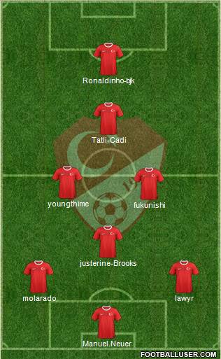 Turkey Formation 2013