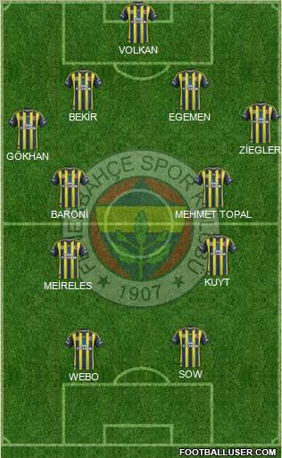 Fenerbahçe SK Formation 2013