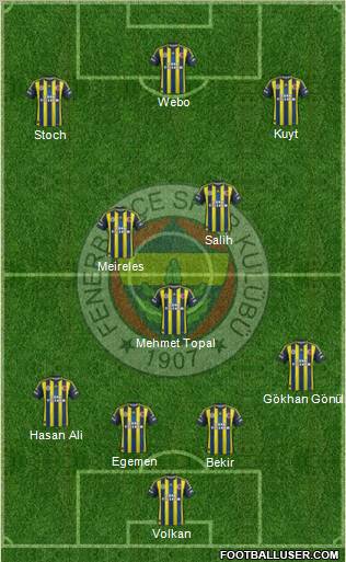 Fenerbahçe SK Formation 2013