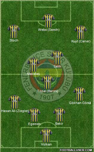 Fenerbahçe SK Formation 2013