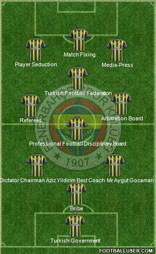 Fenerbahçe SK Formation 2013