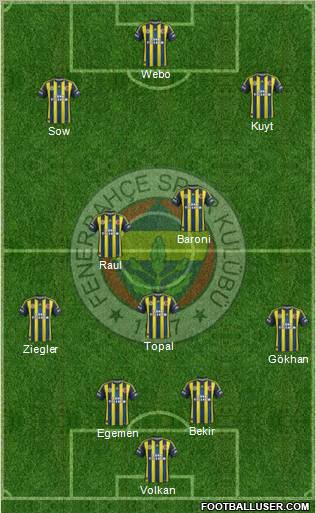 Fenerbahçe SK Formation 2013