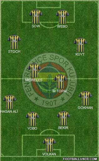 Fenerbahçe SK Formation 2013