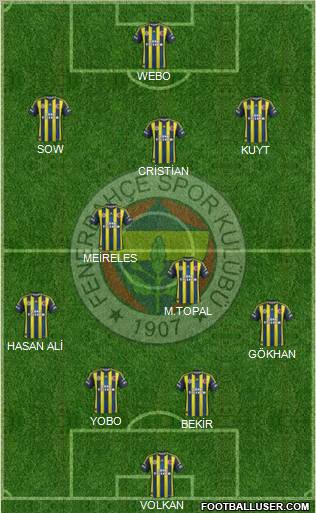 Fenerbahçe SK Formation 2013