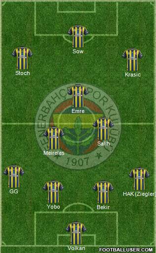Fenerbahçe SK Formation 2013