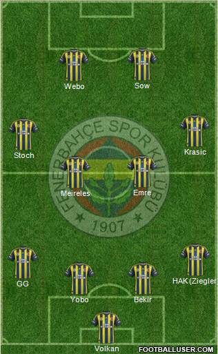 Fenerbahçe SK Formation 2013