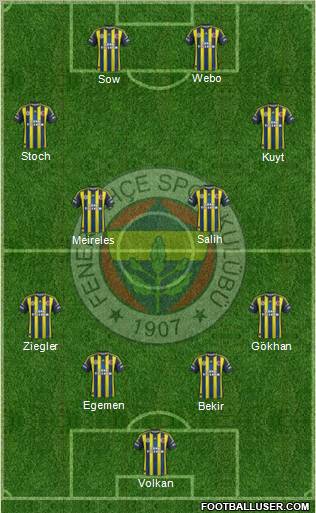 Fenerbahçe SK Formation 2013