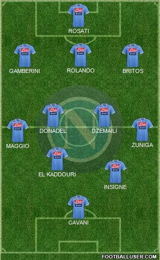 Napoli Formation 2013