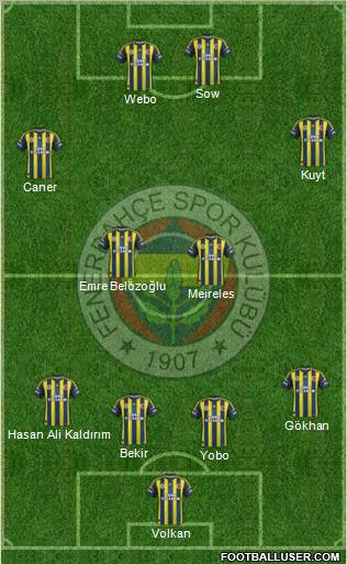 Fenerbahçe SK Formation 2013