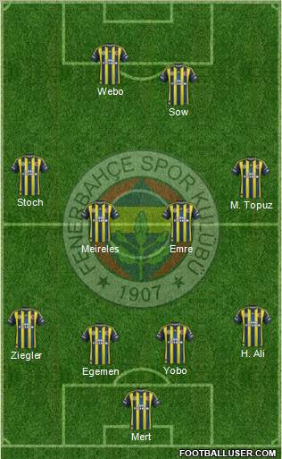 Fenerbahçe SK Formation 2013