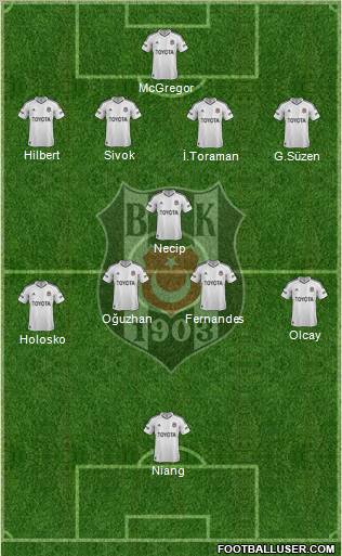 Besiktas JK Formation 2013