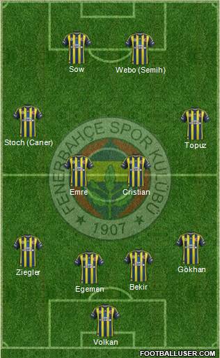 Fenerbahçe SK Formation 2013