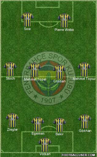 Fenerbahçe SK Formation 2013