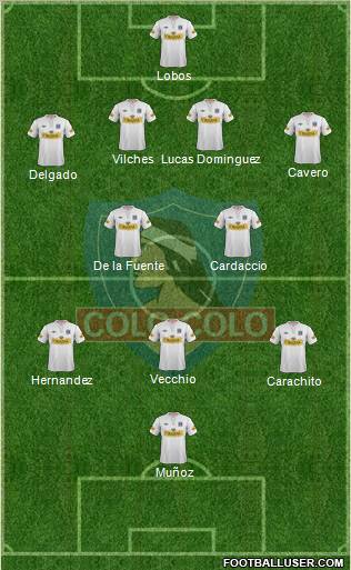 CSD Colo Colo Formation 2013