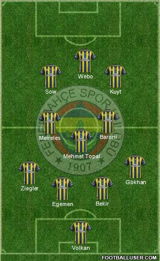 Fenerbahçe SK Formation 2013