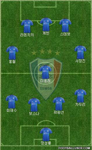 Suwon Samsung Blue Wings Formation 2013