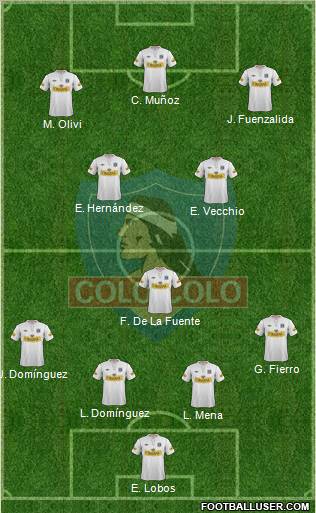 CSD Colo Colo Formation 2013