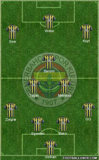 Fenerbahçe SK Formation 2013