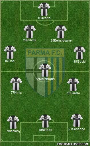 Parma Formation 2013
