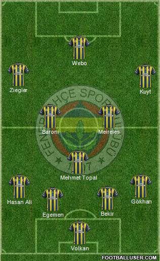 Fenerbahçe SK Formation 2013