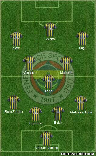 Fenerbahçe SK Formation 2013