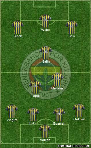 Fenerbahçe SK Formation 2013