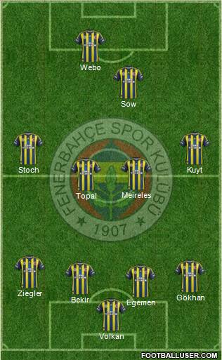 Fenerbahçe SK Formation 2013