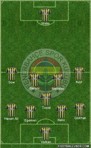 Fenerbahçe SK Formation 2013